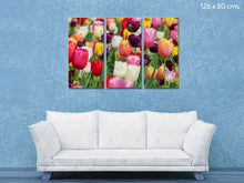 Cuadro Tulipanes en Lienzo Canvas Multipanel