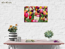 Cuadro Tulipanes Impresos en Lienzo Canvas montado sobre bastidor