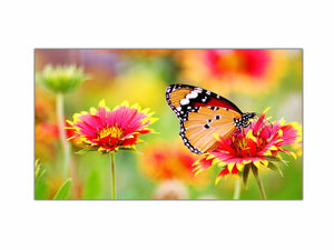 Cuadro Mariposa Flor en Lienzo Impresos en Lienzo Canvas montado sobre bastidor