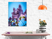 Cuadro Lilac Flor en Lienzo Canvas sobre bastidor